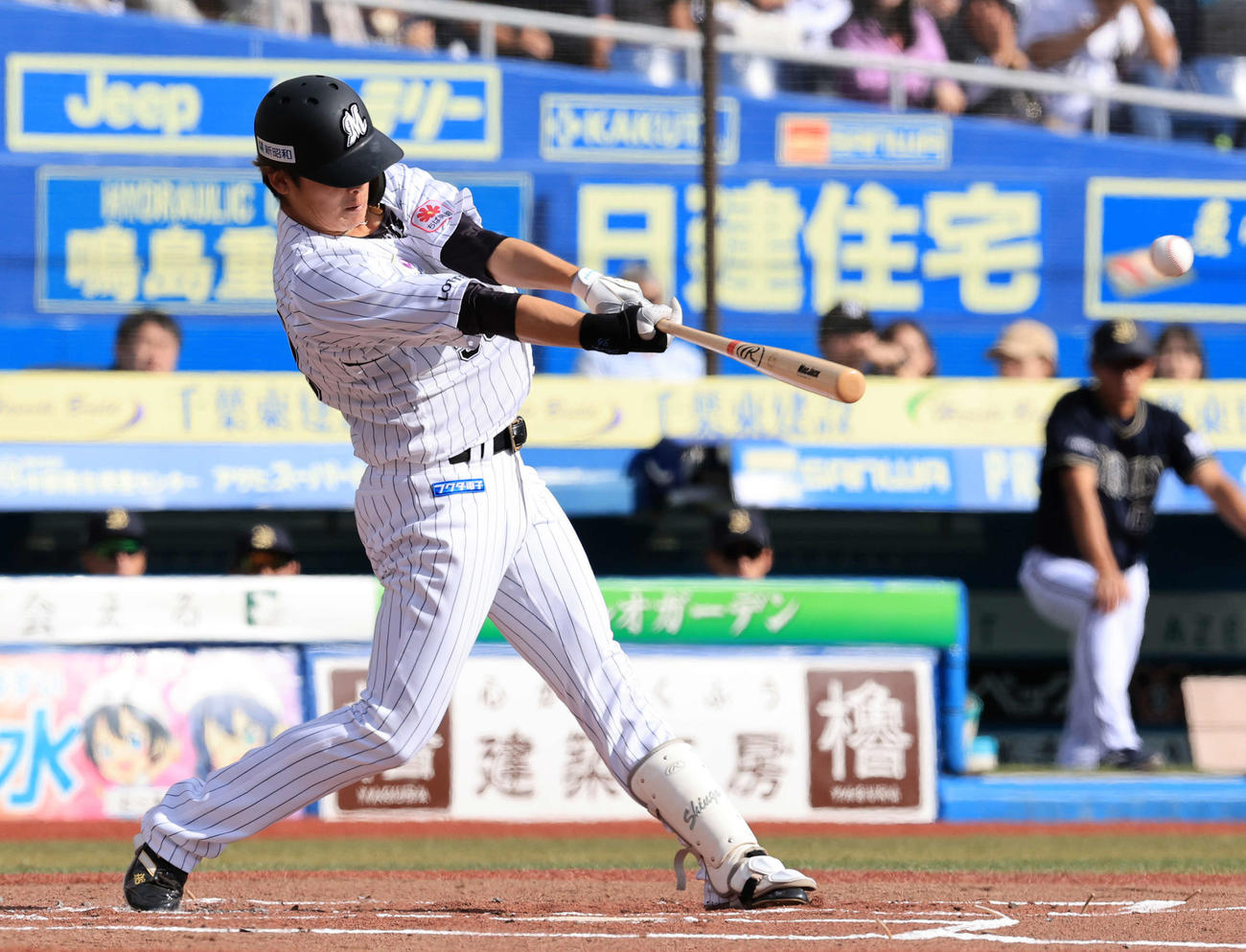 ロッテ石川慎吾（2023年10月撮影）