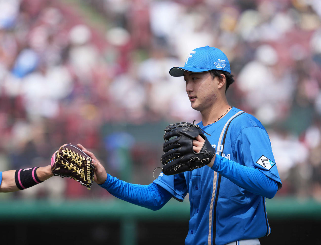 楽天対日本ハム　2回を終えベンチに引き揚げる日本ハム柳川（撮影・井上学）