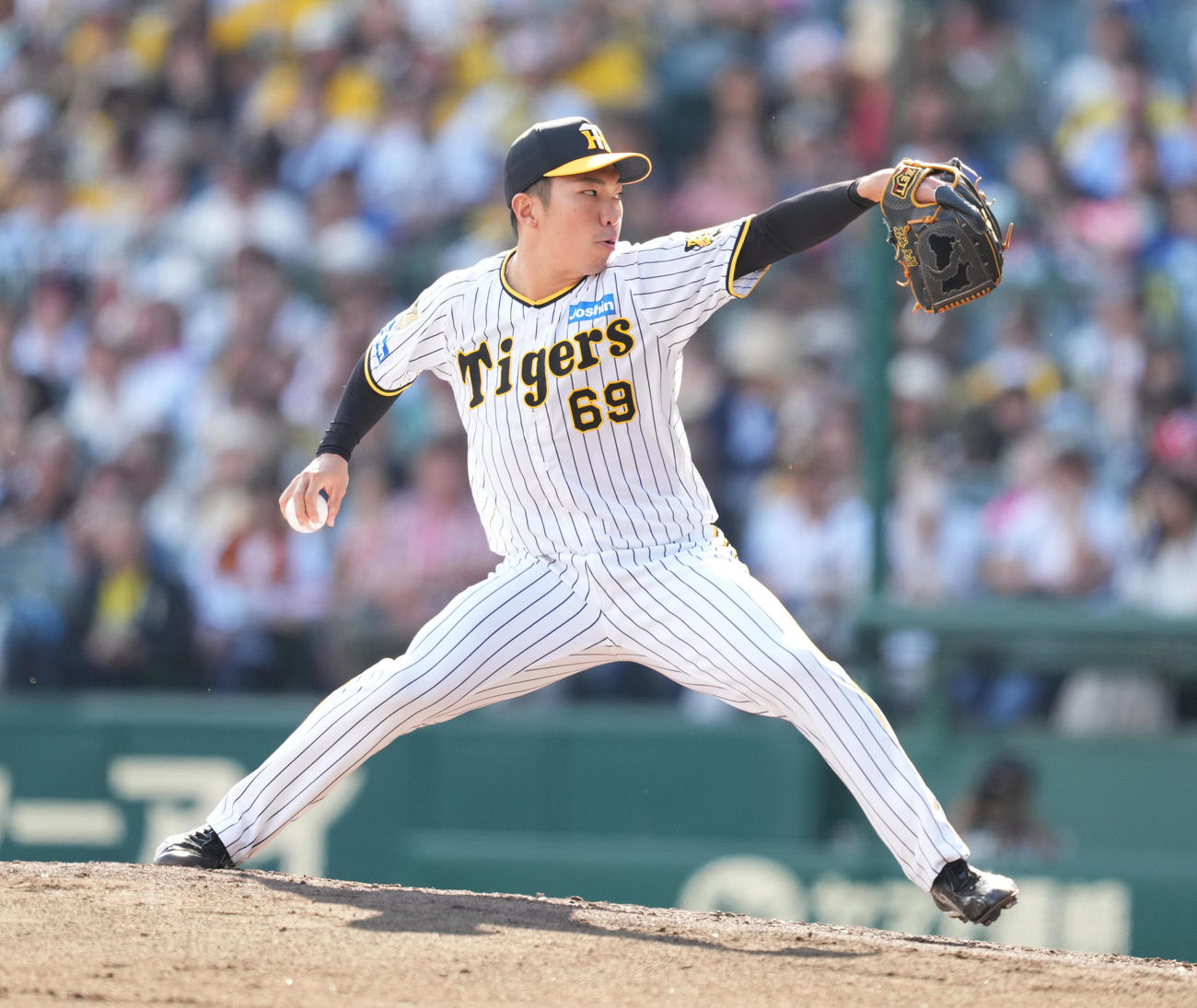 石井大智（2024年5月25日撮影）