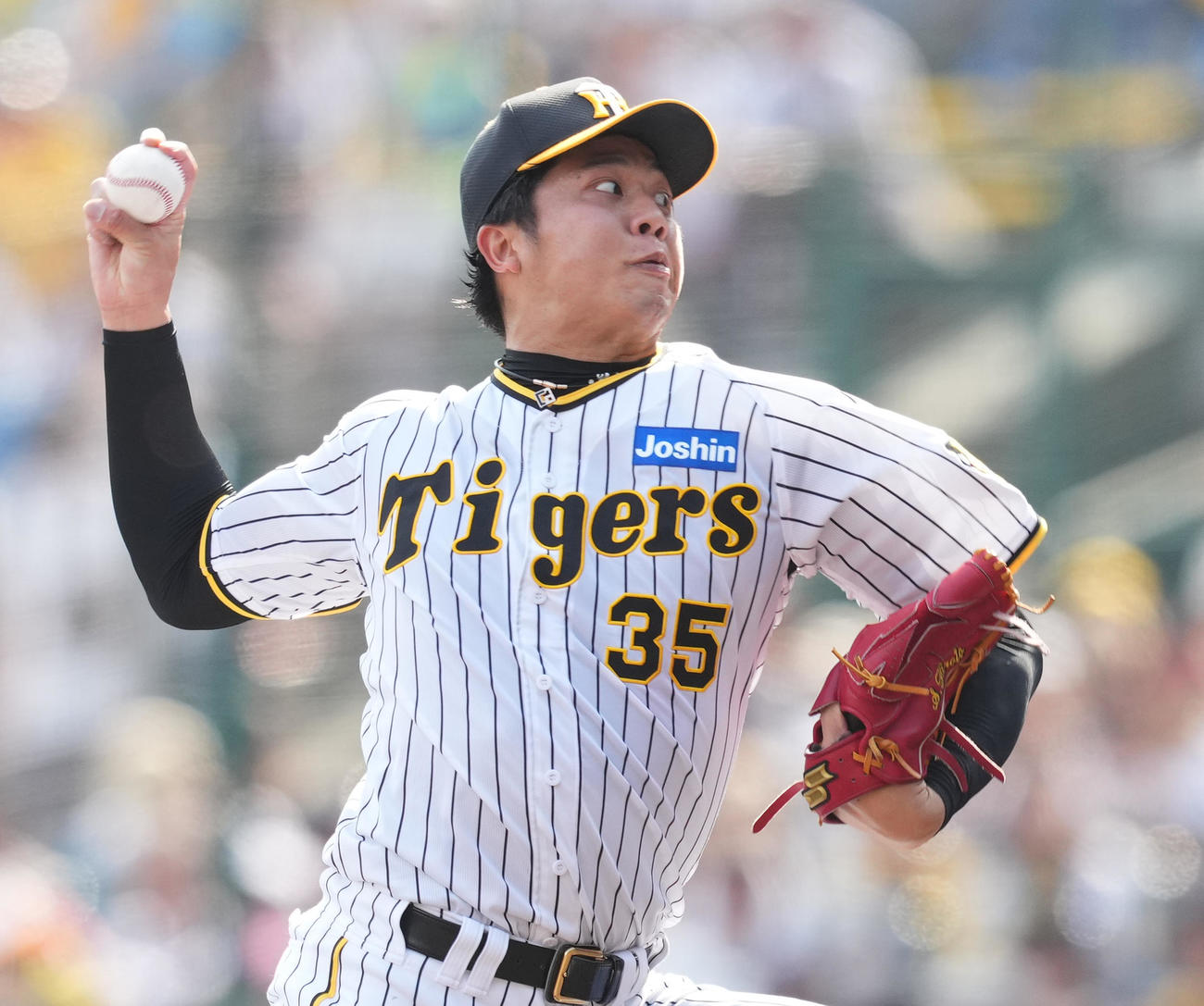 阪神対巨人　6回、力投する阪神才木（撮影・菅敏）