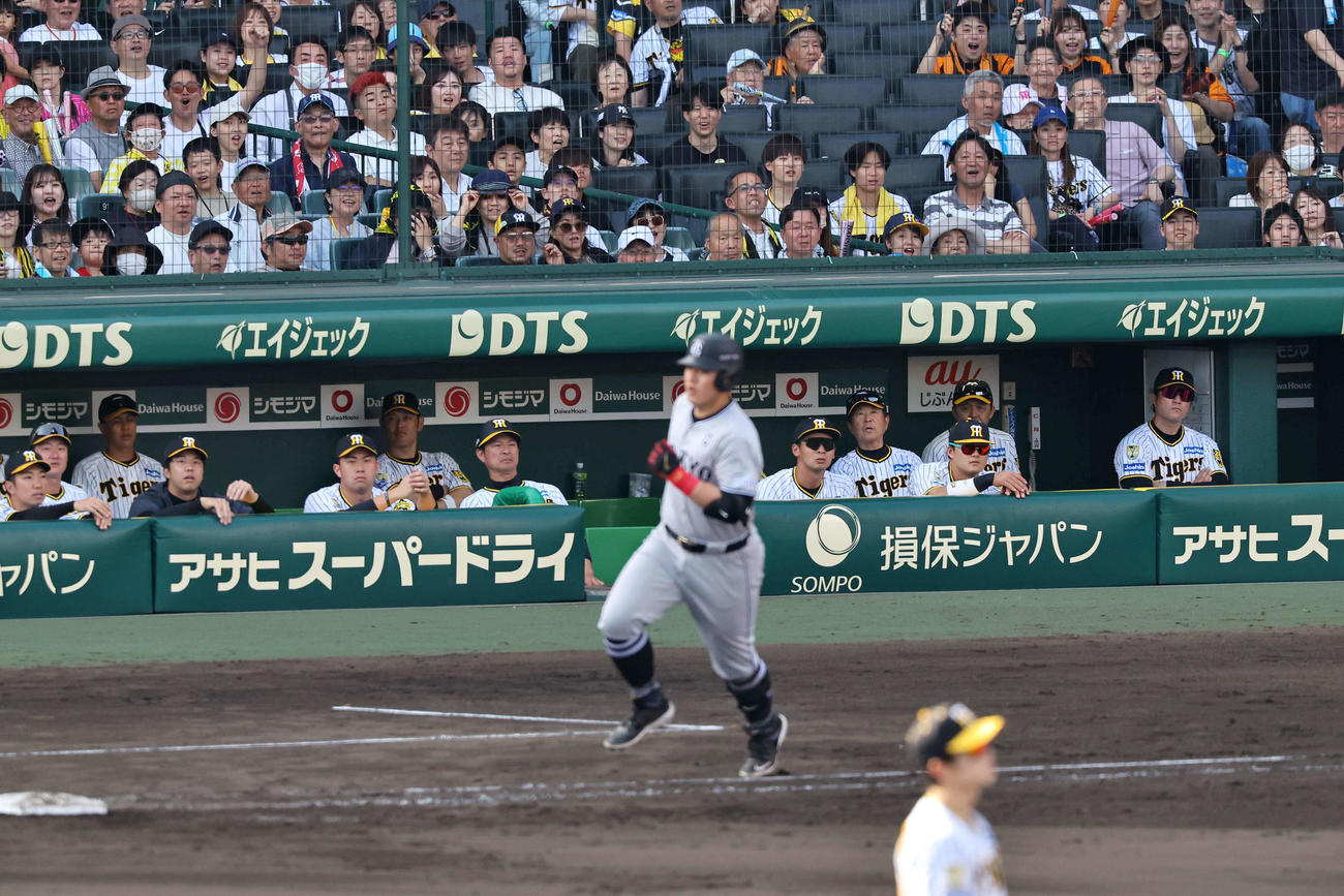 阪神対巨人　9回表巨人1死、同点本塁打を放った岡本の打球を見つめる阪神ベンチの選手たち（撮影・上田博志）