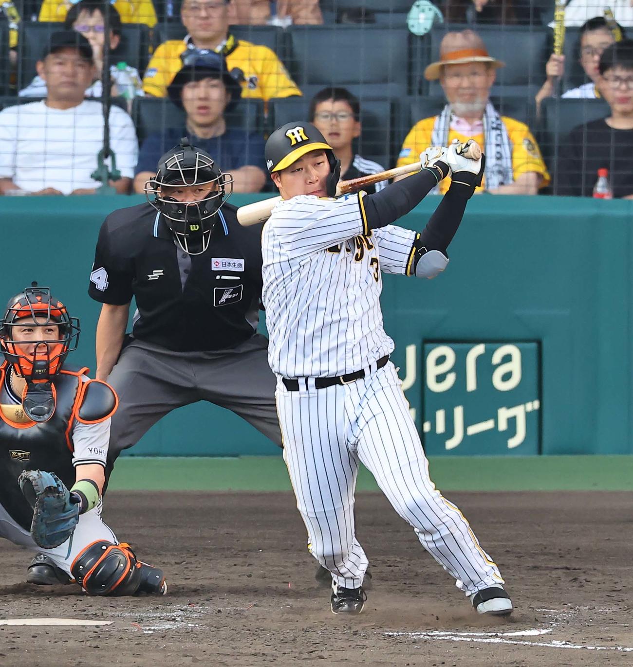 阪神対巨人　9回裏阪神1死、大山は三ゴロに倒れる（撮影・上田博志）