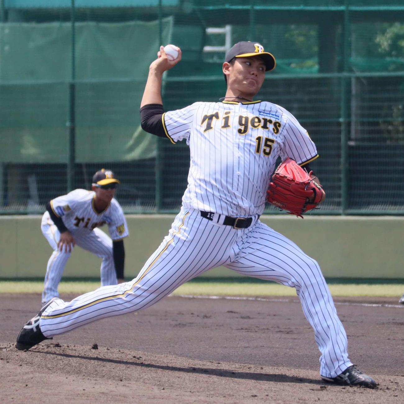ウエスタン・リーグのオリックス戦に先発した阪神西純（撮影・村松万里子）