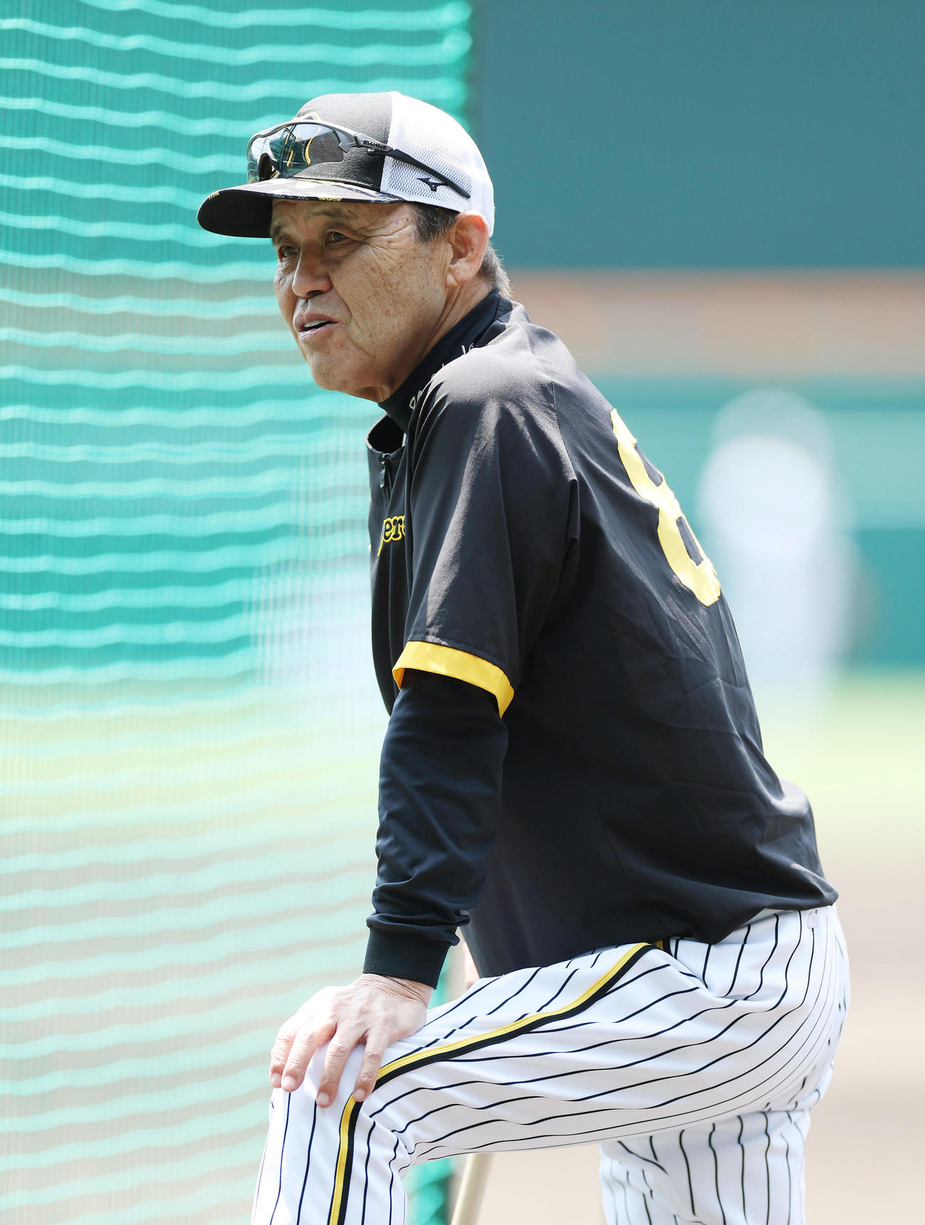 阪神岡田監督（5月26日撮影）