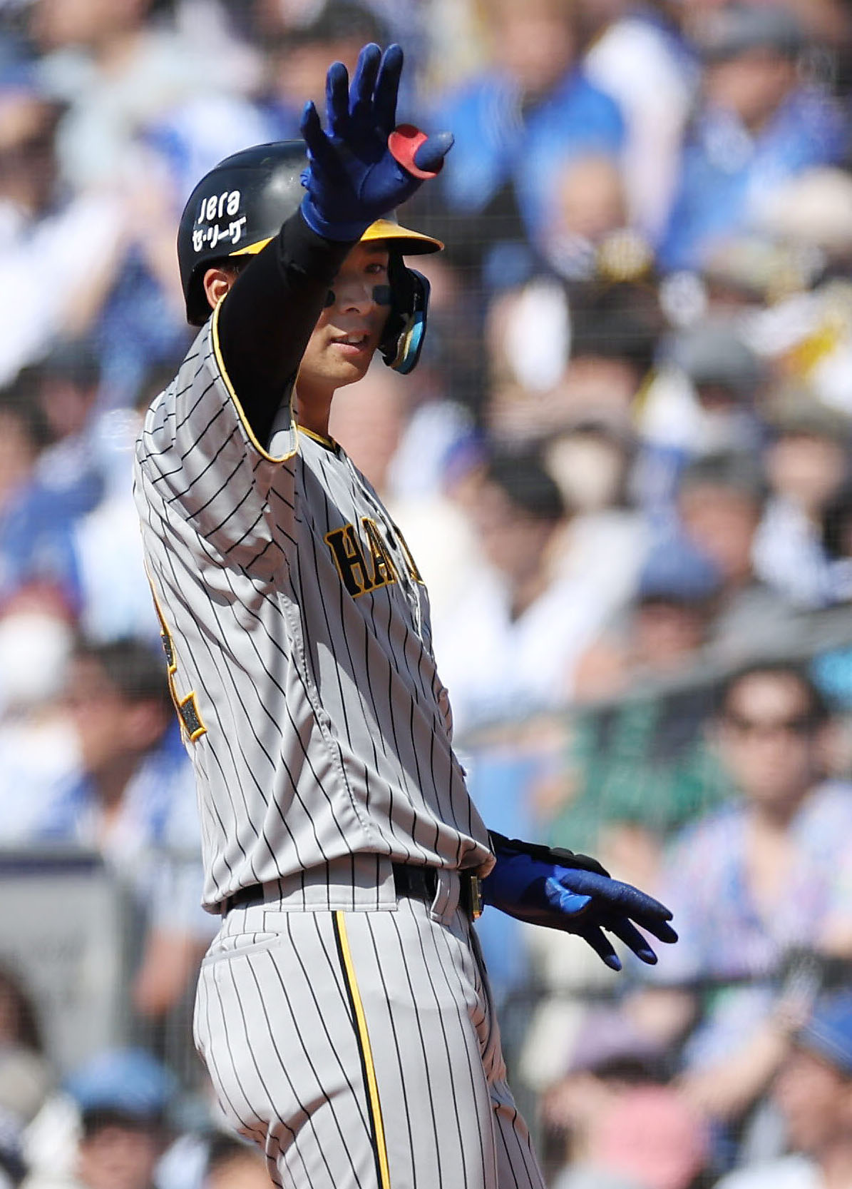 ベンチに向かって手を上げる井上広大（2024年5月11日撮影）
