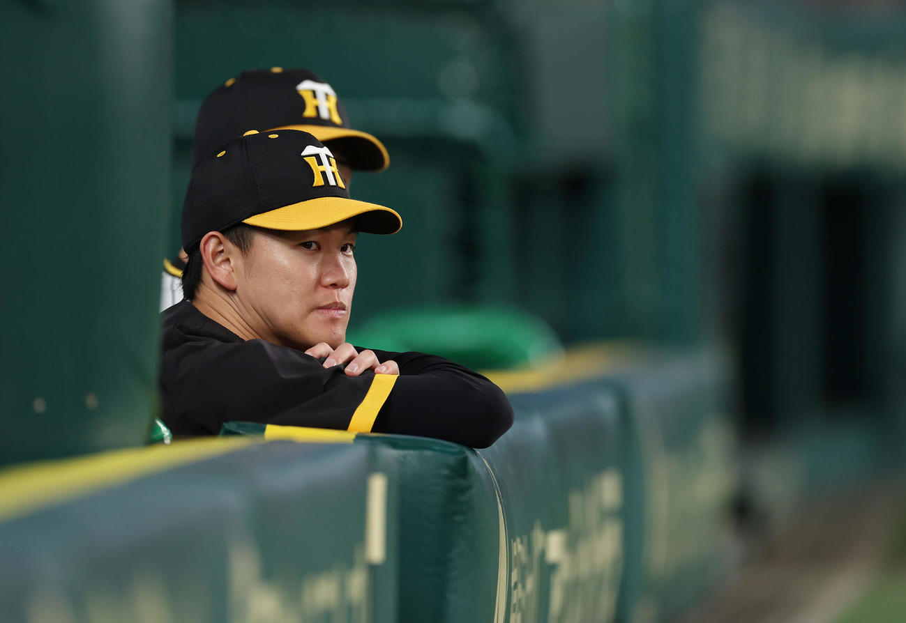 阪神対巨人　7回、ベンチからグラウンドを見つめる阪神及川（2024年5月24日撮影）