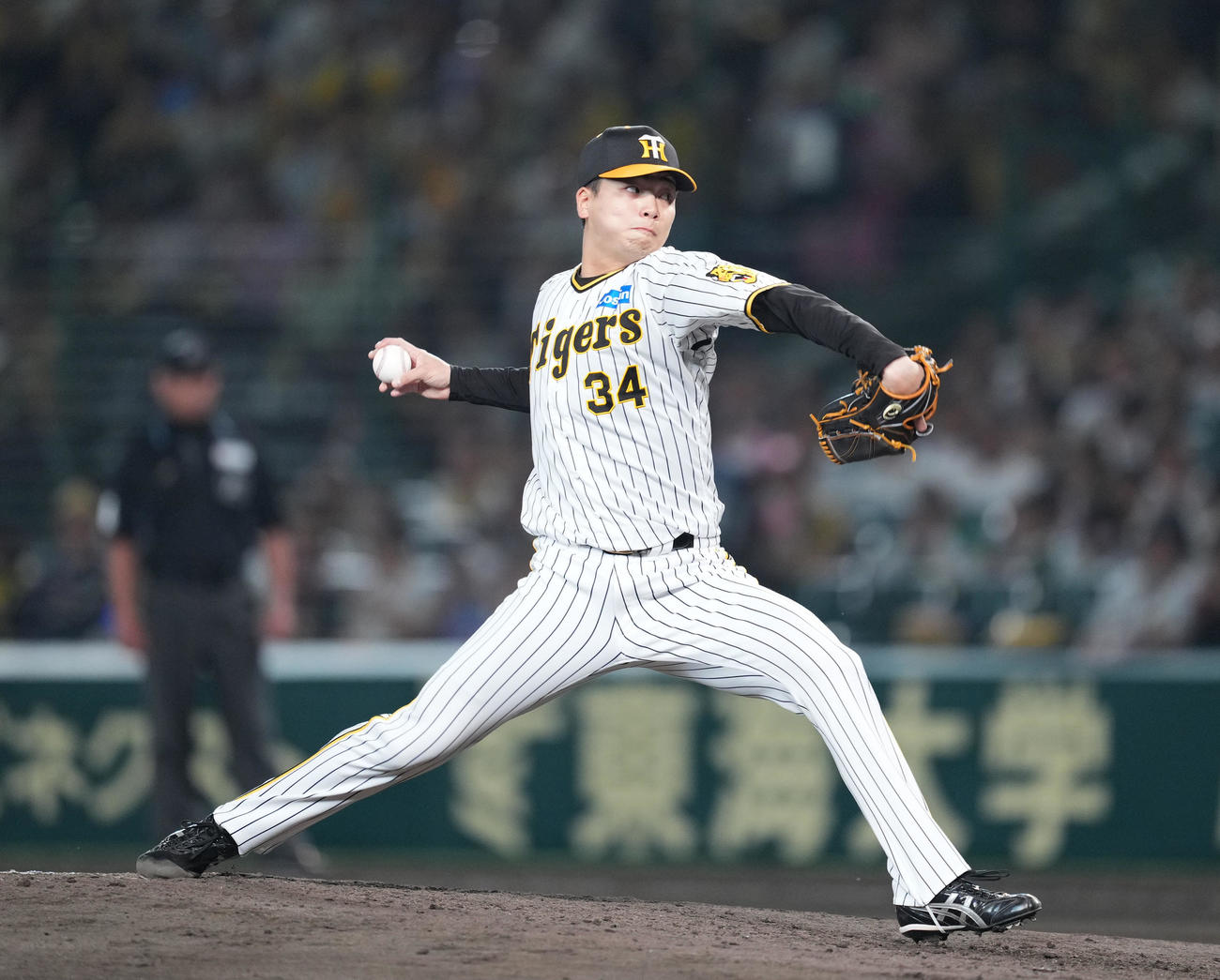 阪神漆原大晟（2024年5月24日撮影）