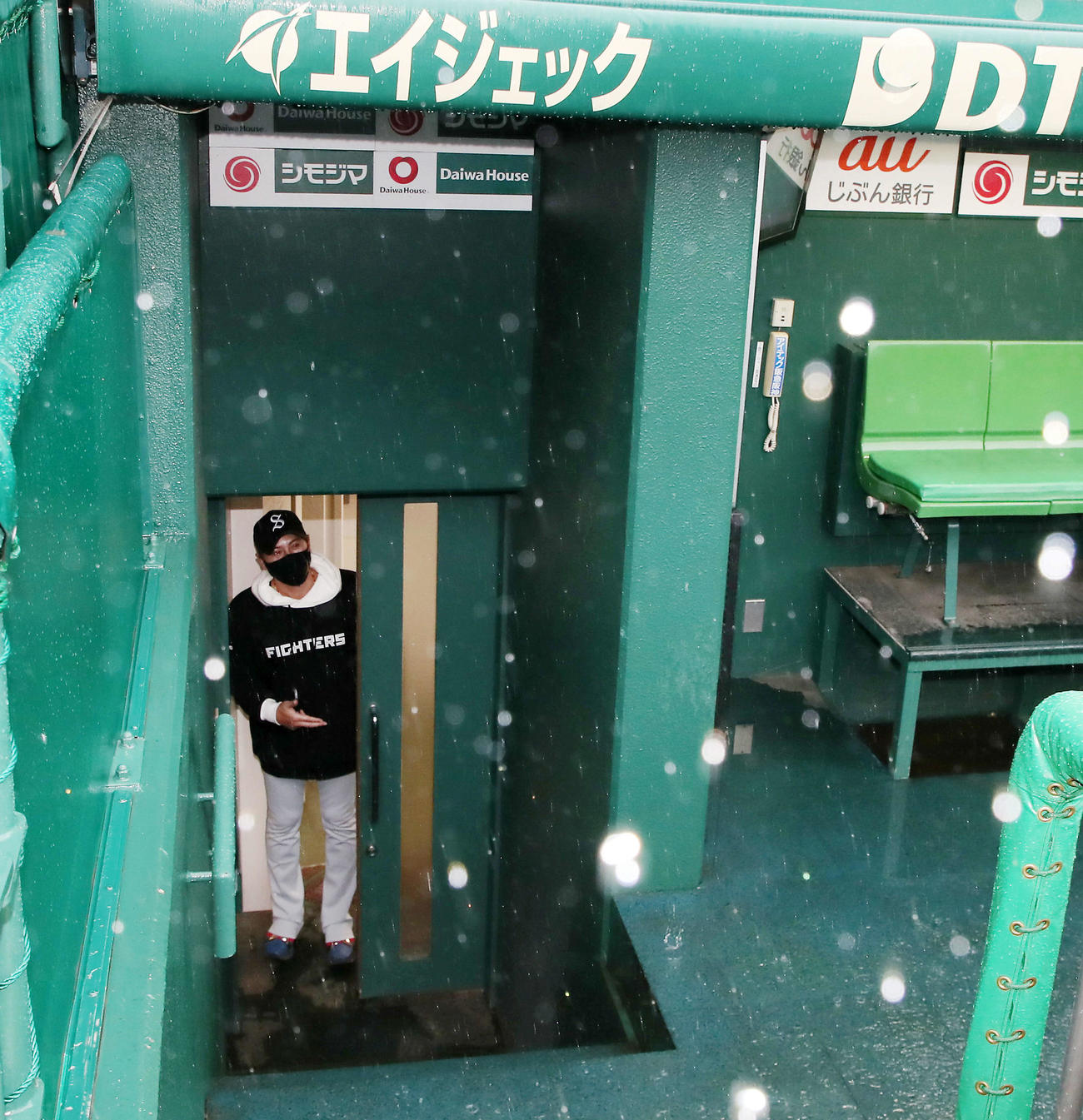 阪神対日本ハム　雨の三塁側ベンチ入り口から一瞬顔を出した新庄監督（撮影・加藤哉）