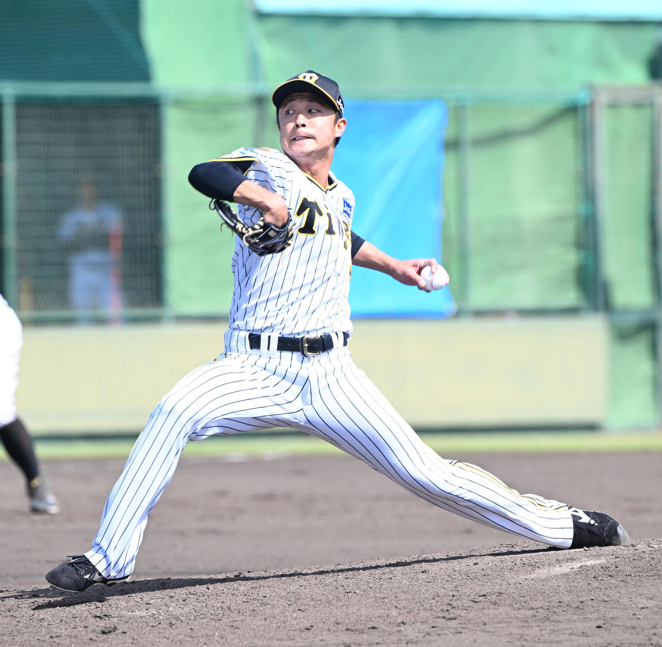 阪神島本浩也（2024年5月25日撮影）