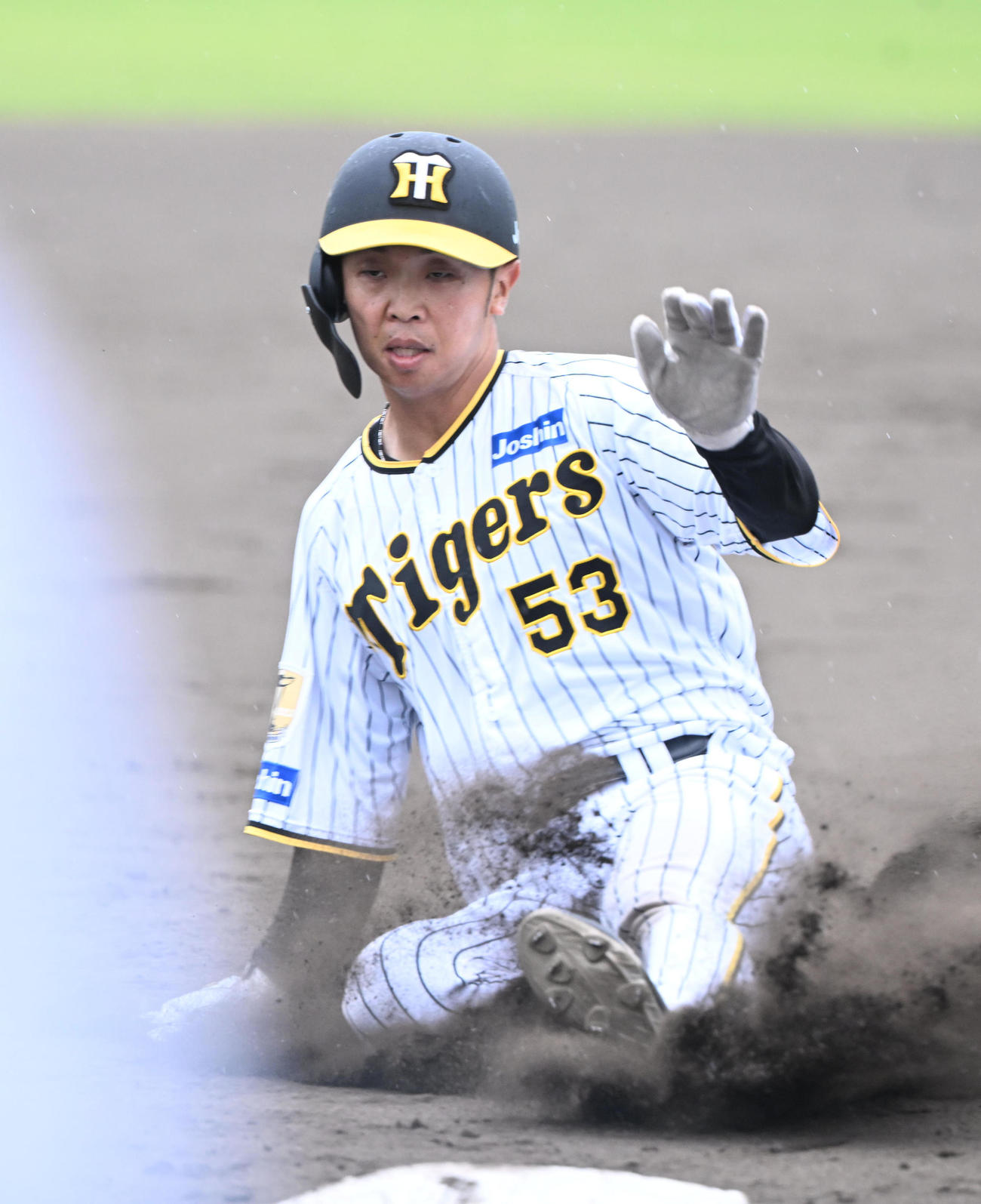 阪神島田海吏（2024年5月12日撮影）