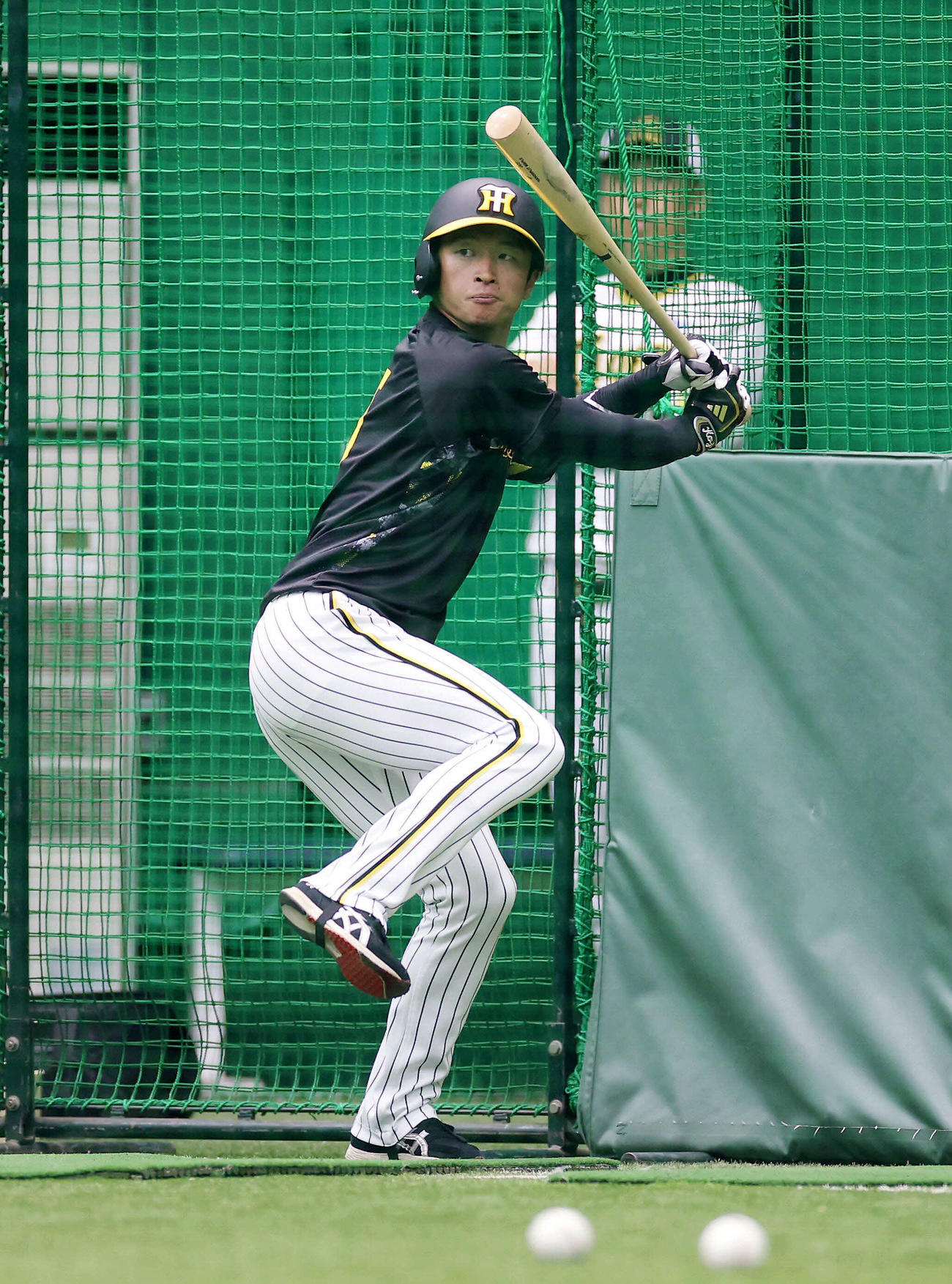 阪神対日本ハム　打撃練習を行う阪神近本（撮影・前田充）