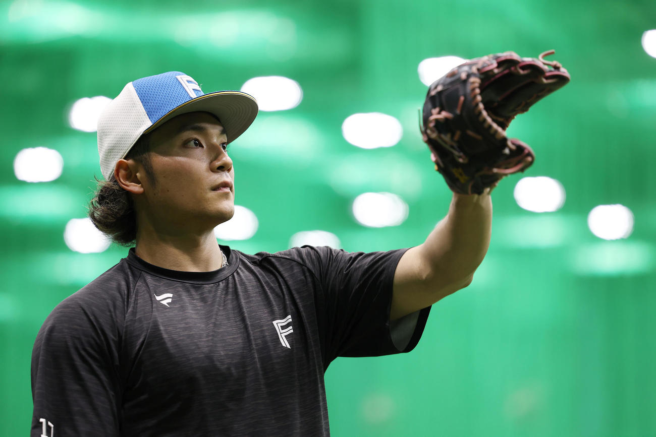 阪神対日本ハム　キャッチボールする日本ハム伊藤（撮影・前田充）