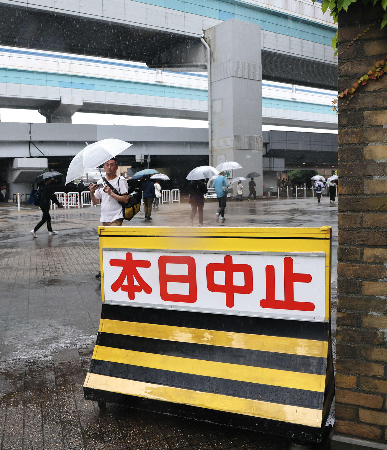 阪神対日本ハム　雨天中止と決まった甲子園（撮影・加藤哉）