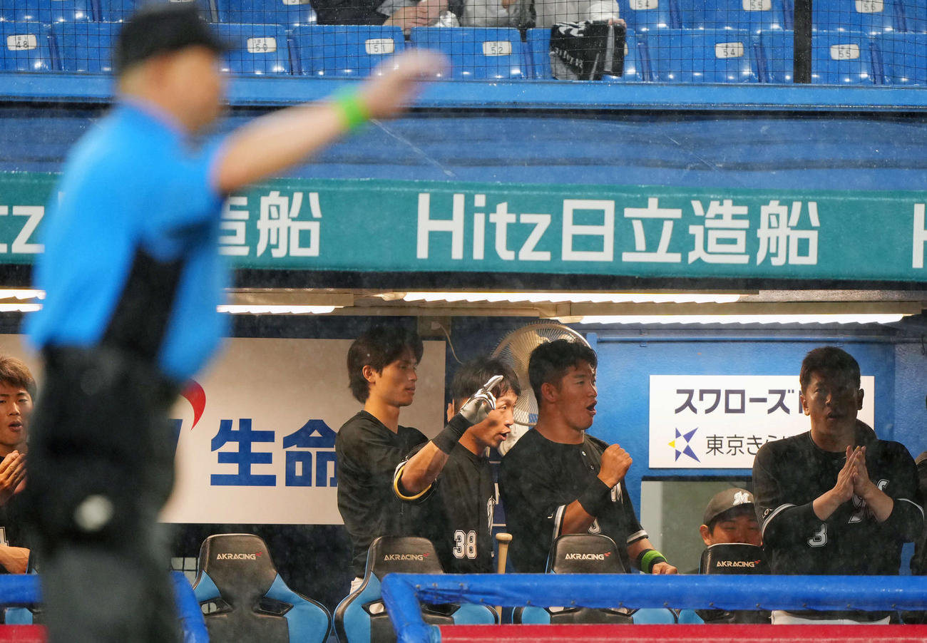 ヤクルト対ロッテ　降雨コールドでヤクルトに勝利しガッツポーズするロッテナイン（撮影・横山健太）