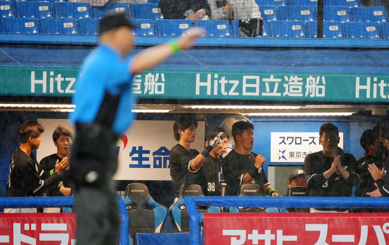 ヤクルト対ロッテ　降雨コールドでヤクルトに勝利しガッツポーズするロッテナイン（撮影・横山健太）