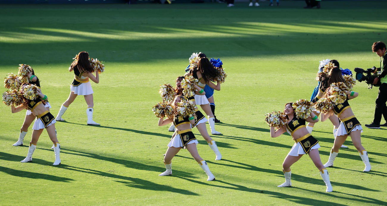 阪神対日本ハム　ファイターズガールとともにきつねダンスを踊るタイガースガールズ（撮影・加藤哉）