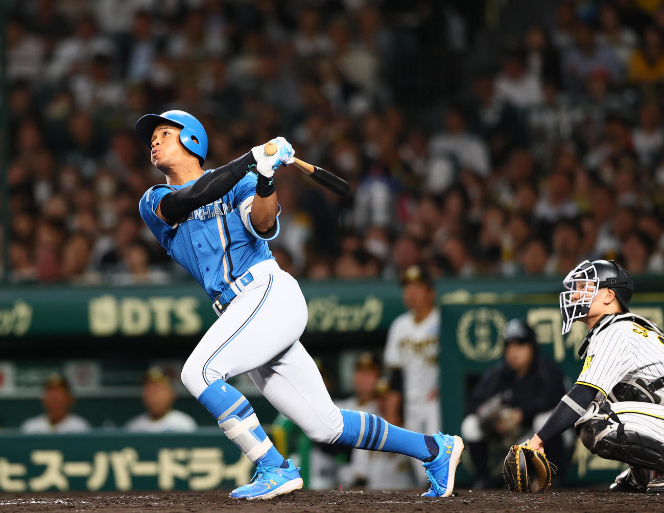 阪神対日本ハム　5回表日本ハム2死一塁、左越え2点本塁打を放つ万波（撮影・上山淳一）