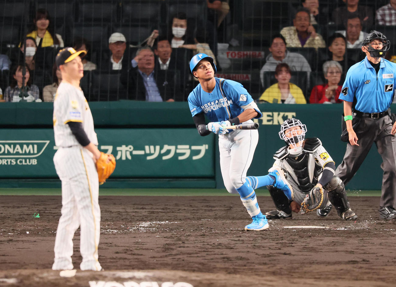 阪神対日本ハム　5回表日本ハム2死一塁、万波は左越え2点本塁打を放つ。投手は大竹（撮影・加藤哉）