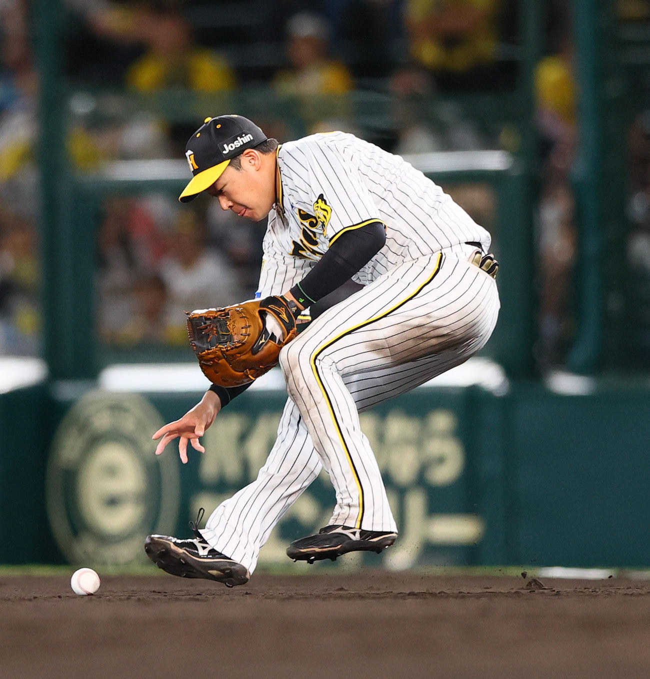 阪神対日本ハム　9回表日本ハム2死一塁、一塁手大山は松本の打球をファンブルする（撮影・上山淳一）
