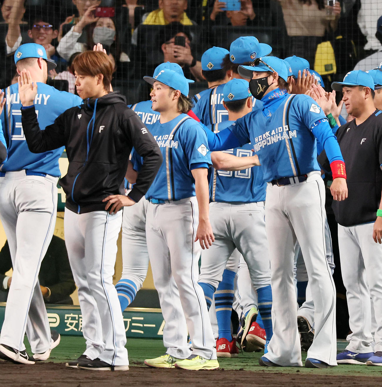 阪神対日本ハム　阪神に勝利しナインを迎える新庄監督。左は伊藤（撮影・加藤哉）