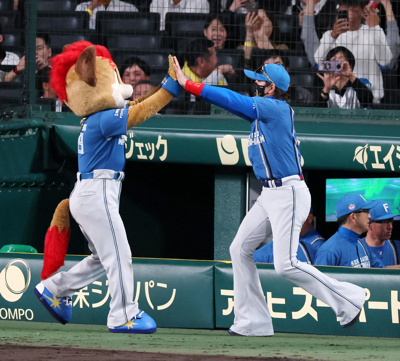 阪神対日本ハム　　阪神に勝利しマスコットのフレップとハイタッチする新庄監督（撮影・加藤哉）