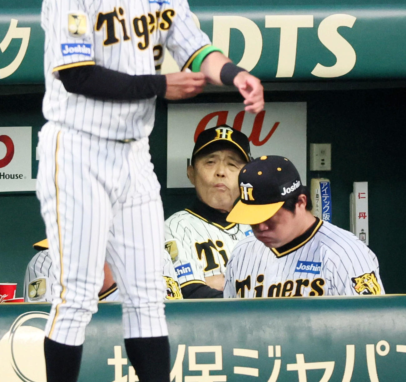 阪神対日本ハム　4回表を終えベンチで厳しい表情を見せる岡田監督（撮影・加藤哉）