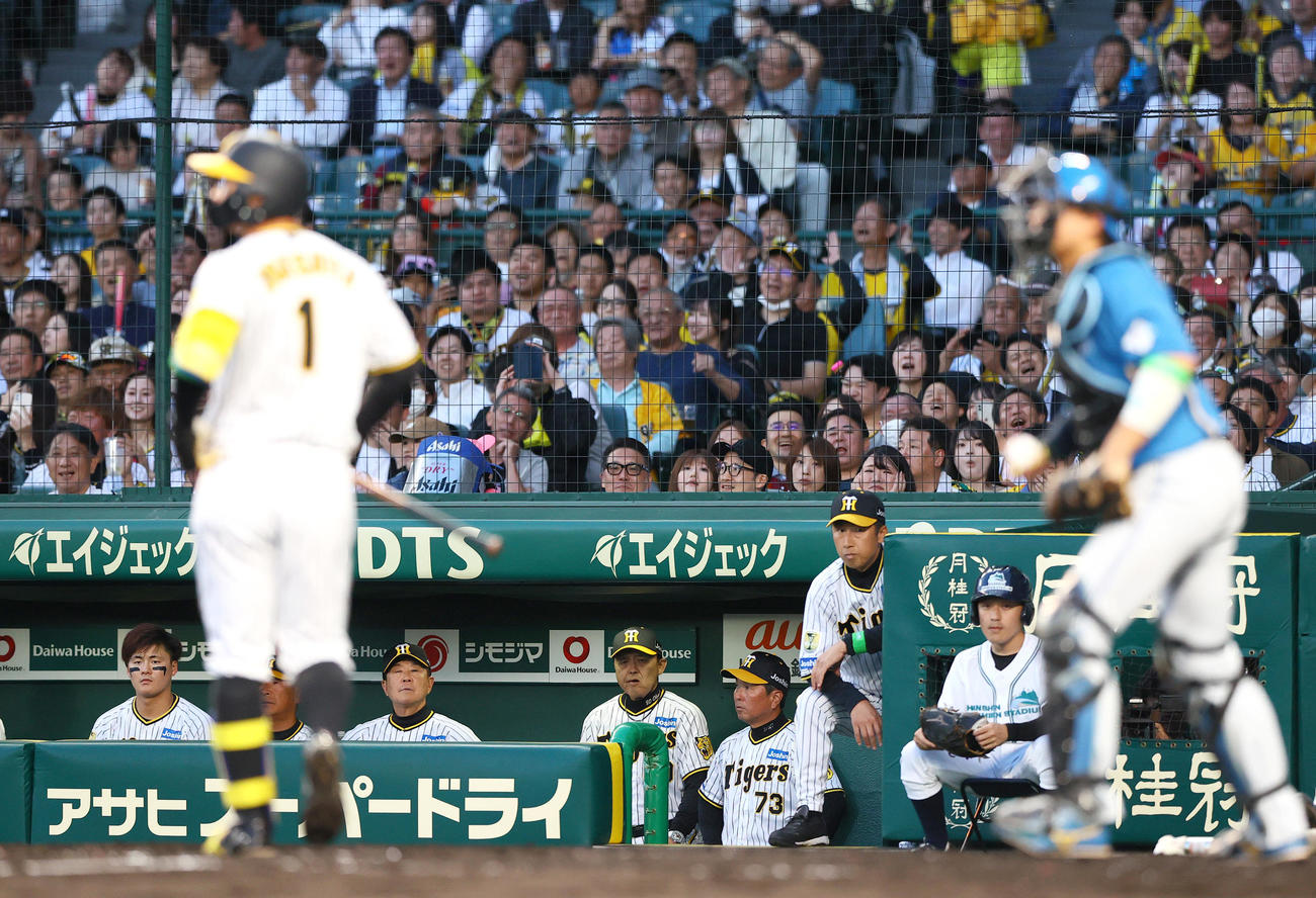 阪神対日本ハム　3回裏阪神1死満塁、岡田監督（左から3人目）は見逃し三振に倒れた森下（手前左）を見つめる（撮影・上山淳一）