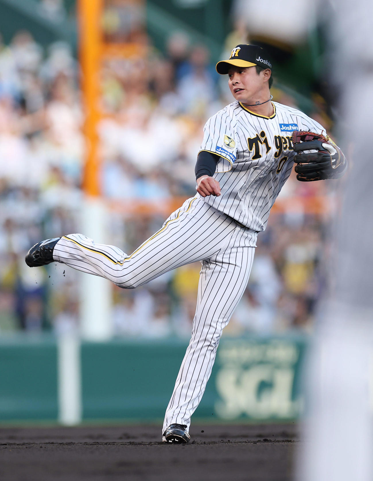 阪神対日本ハム　2回表日本ハム1死二、三塁、石井の打球を本塁へ送球する遊撃手木浪（撮影・前田充）
