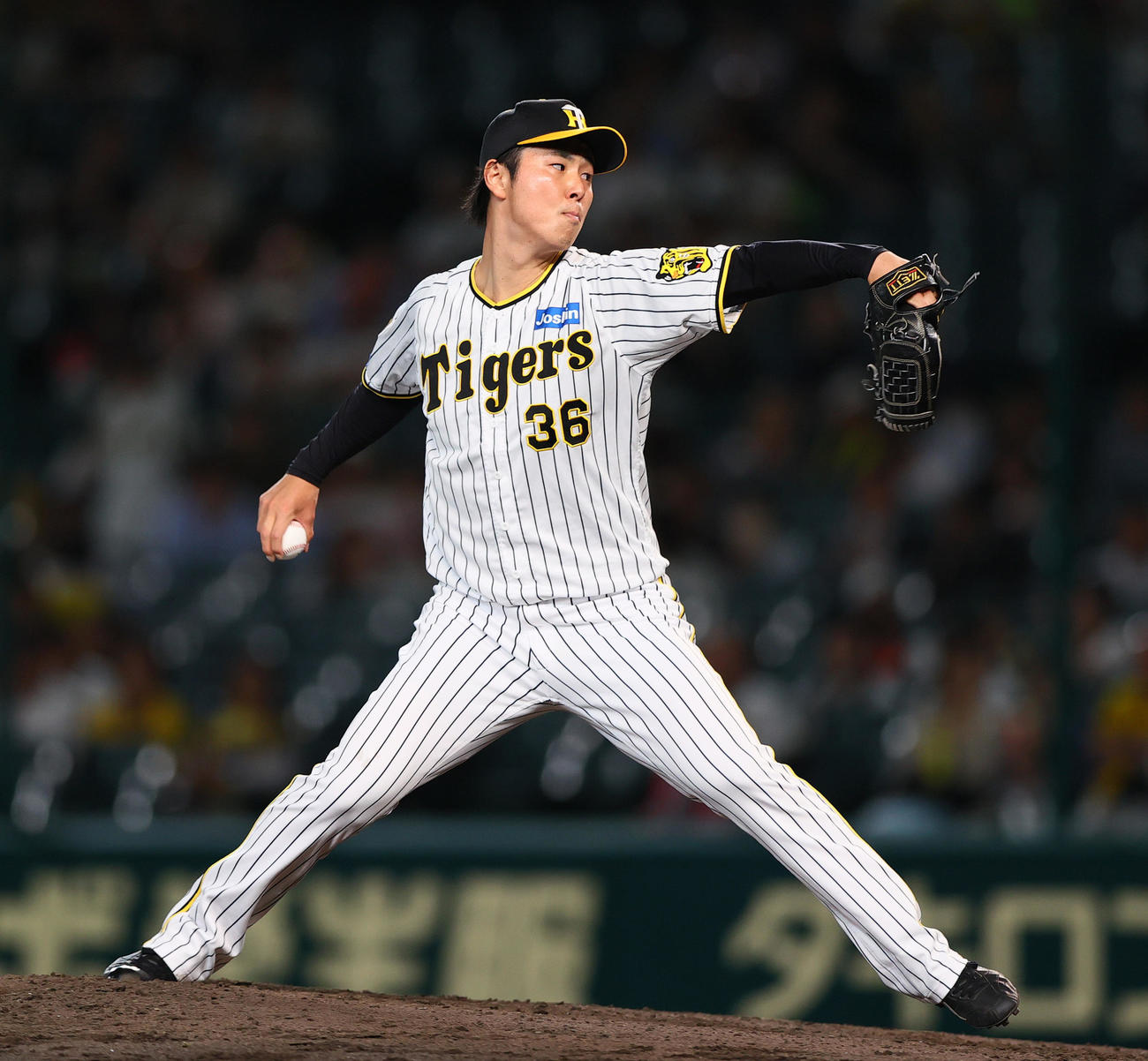 阪神対日本ハム　9回表、阪神4番手で登板の浜地（撮影・上山淳一）