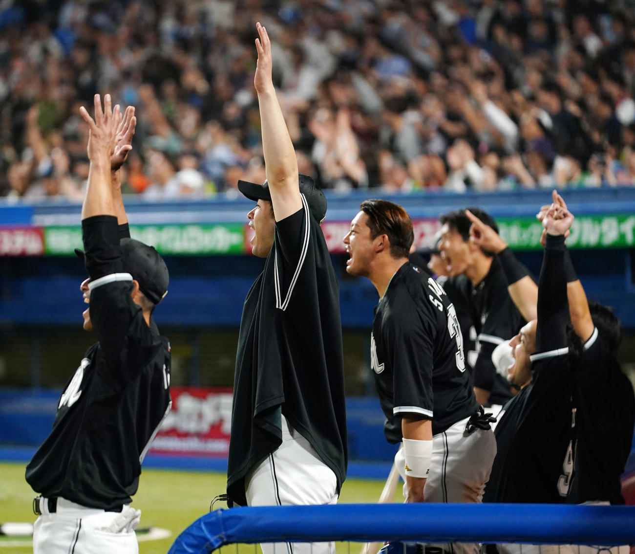 ヤクルト対ロッテ　9回表ロッテ1死一、三塁、ポランコが右前適時打を放ち歓喜する種市（左から2人目）らロッテナイン（撮影・横山健太）