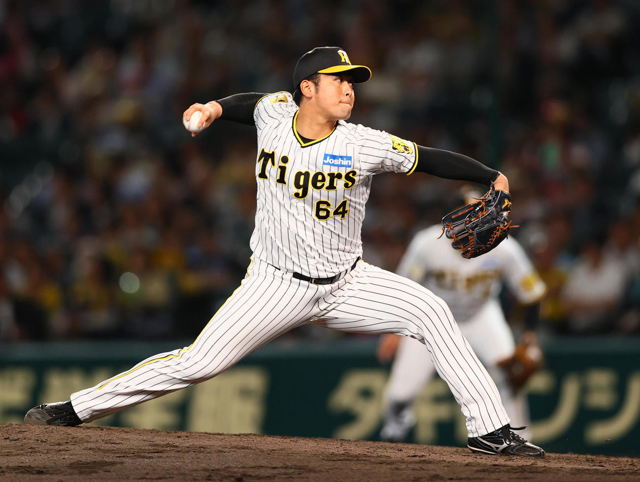 阪神岡留英貴（2024年5月29日撮影）