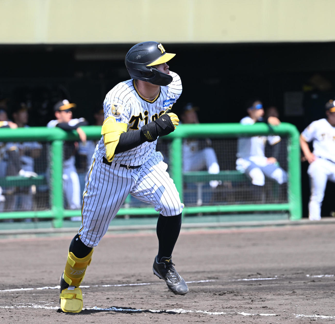 阪神佐藤輝