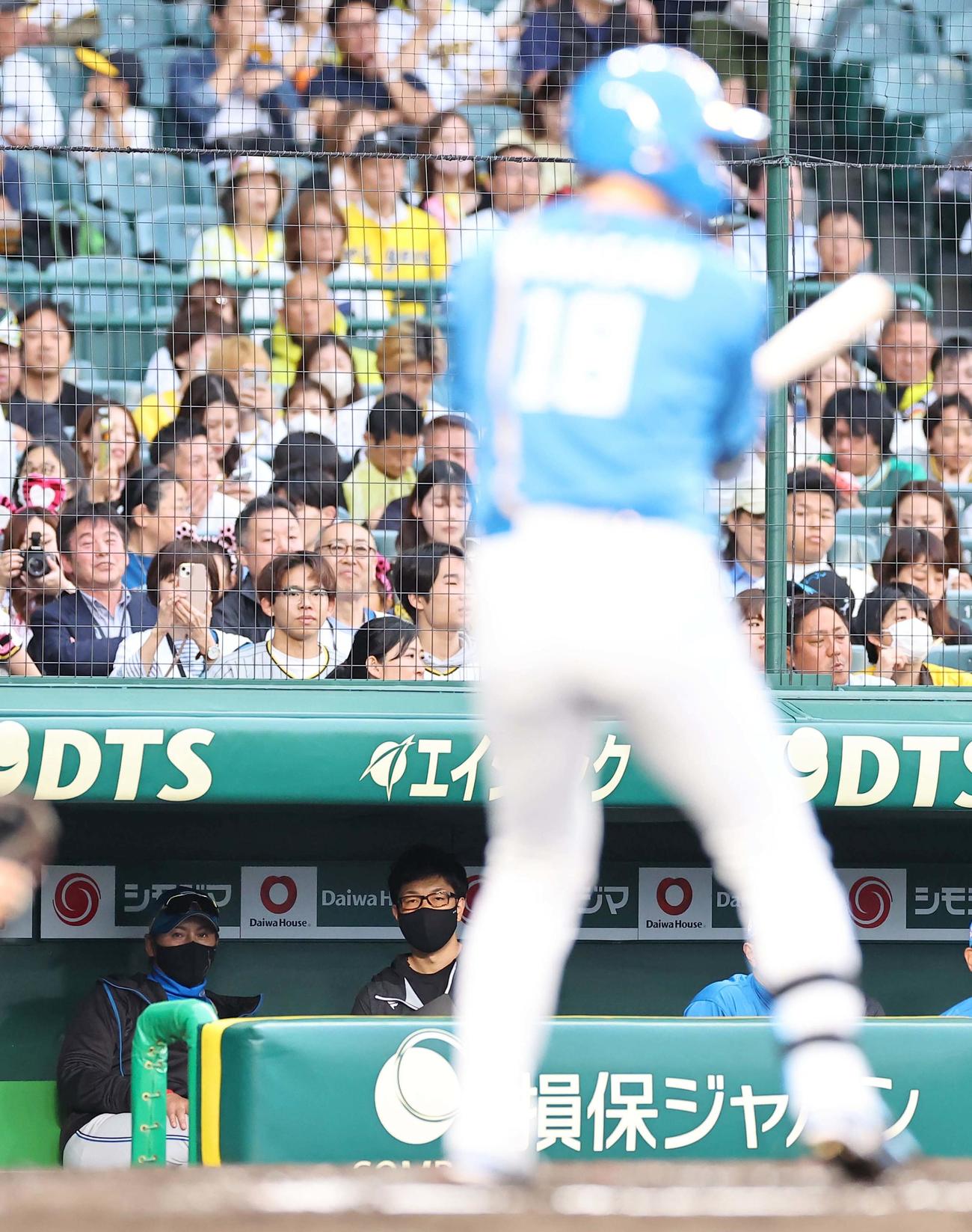 阪神対日本ハム　2回表日本ハム1死一塁、先発の山崎（右）を打順6番にした新庄監督（撮影・上田博志）