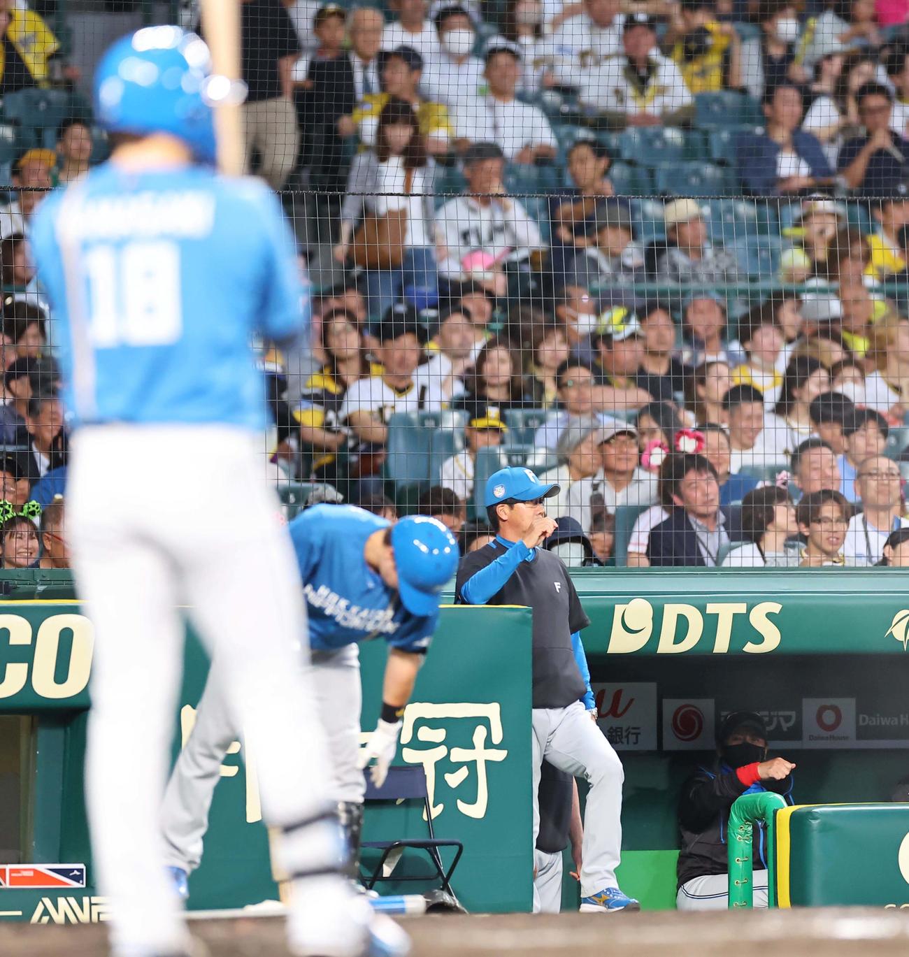 阪神対日本ハム　4回表日本ハム無死一、三塁、新庄監督（右）は山崎に打てのサイン（撮影・上田博志）