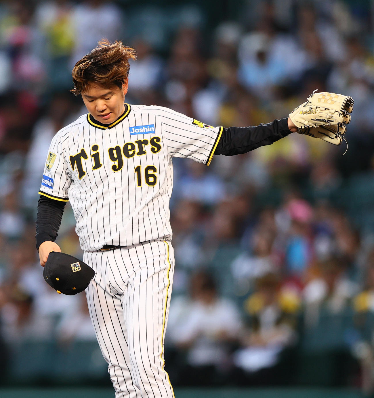 阪神対日本ハム　3回表日本ハム2死、西勇は万波に死球を当て脱帽する（撮影・上山淳一）