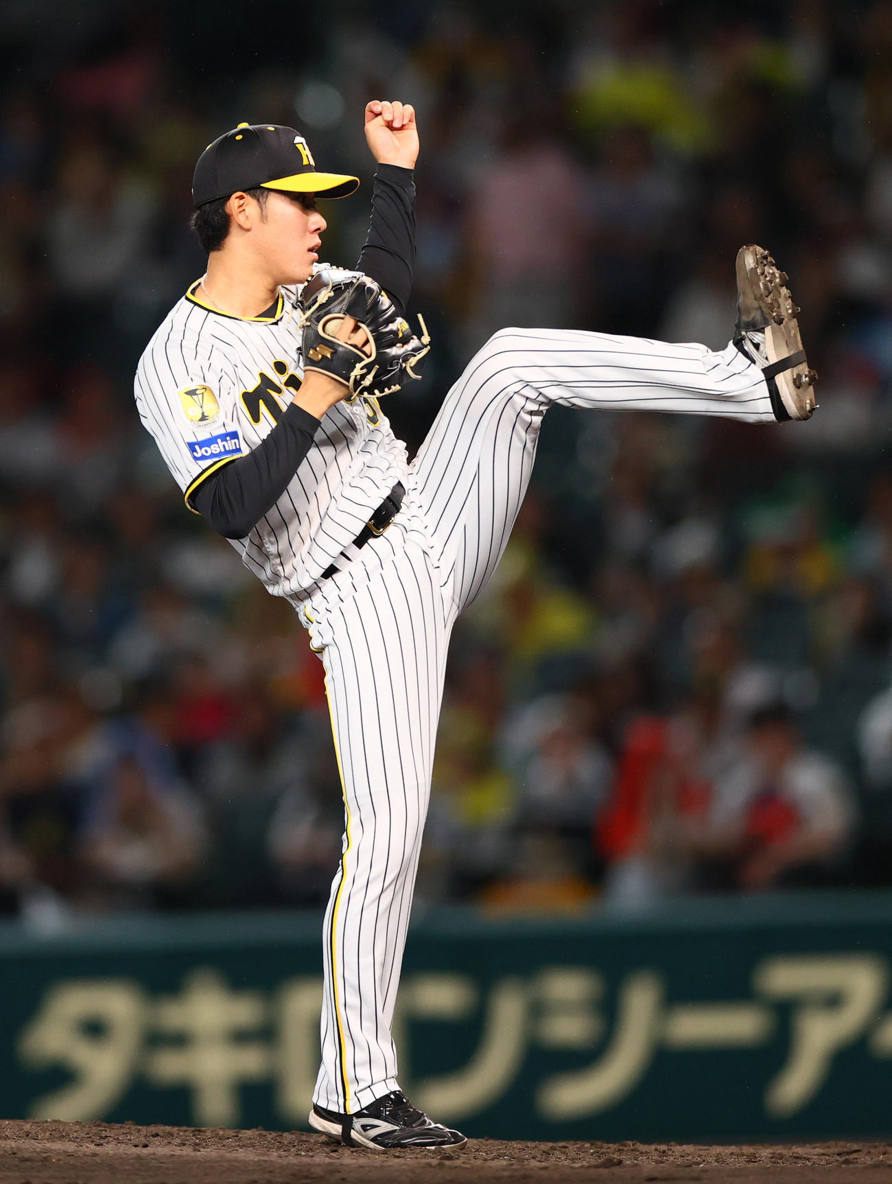 阪神対日本ハム　6回表、阪神3番手で登板の富田（撮影・上山淳一）