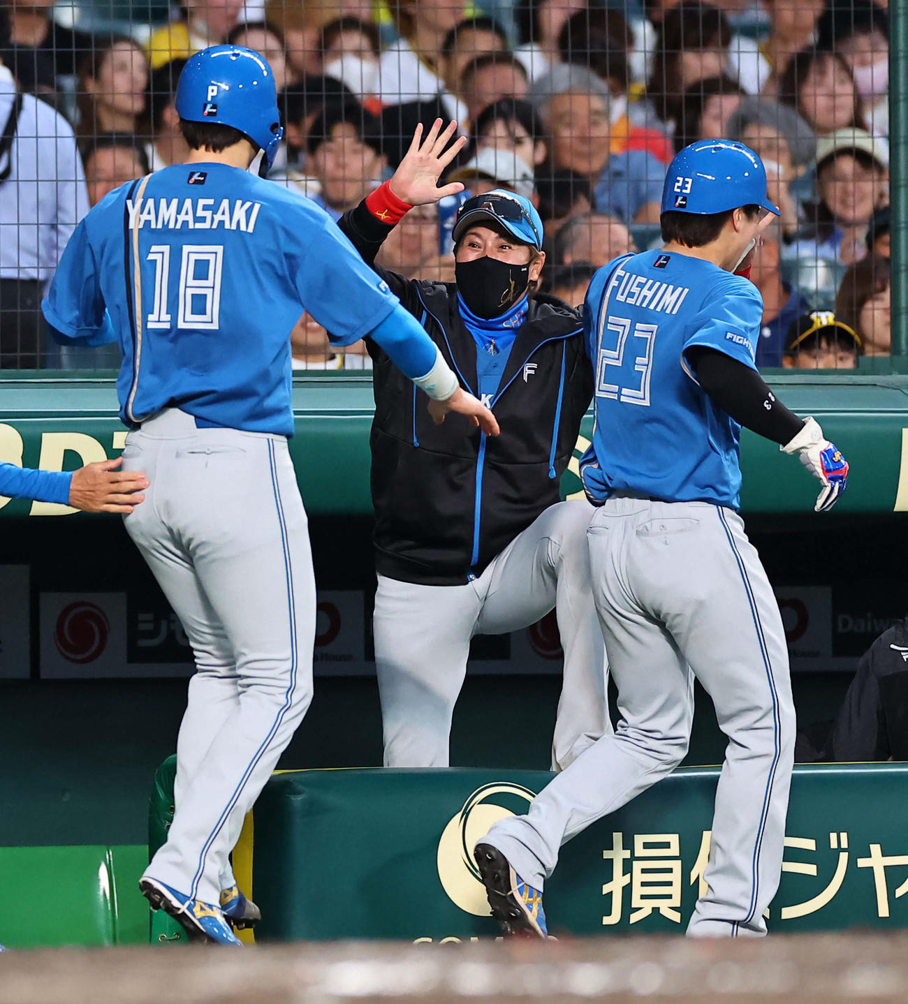 阪神対日本ハム　4回表日本ハム無死二、三塁、水野の適時打で生還した伏見（右）と山崎（左）をハイタッチで出迎える新庄監督（撮影・上田博志）