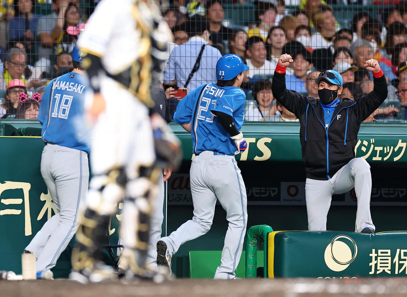 阪神対日本ハム　4回表日本ハム無死二、三塁、水野の適時打で生還した伏見（中央）と山崎をガッツポーズで出迎える新庄監督（撮影・上田博志）