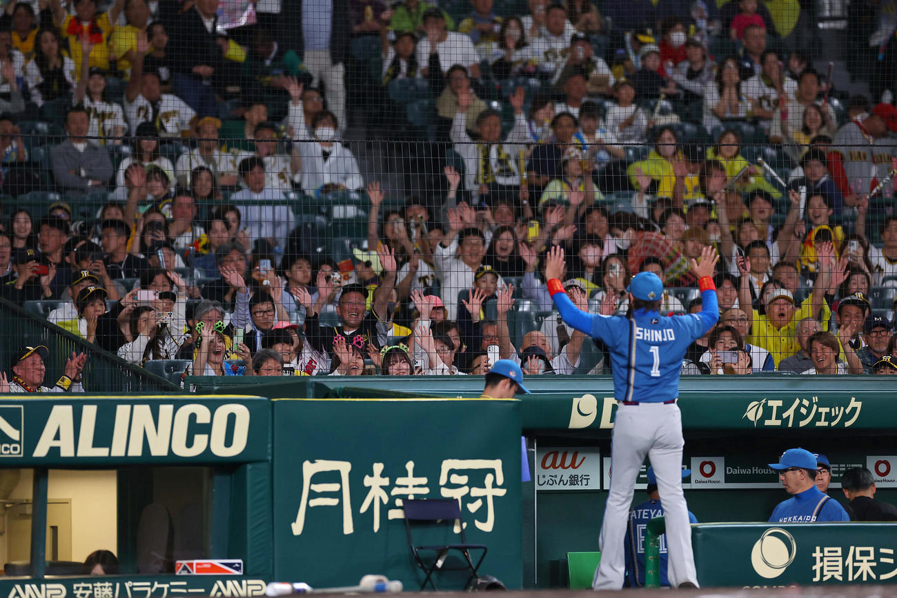 阪神対日本ハム　ファンの歓声に応える新庄監督（撮影・上田博志）