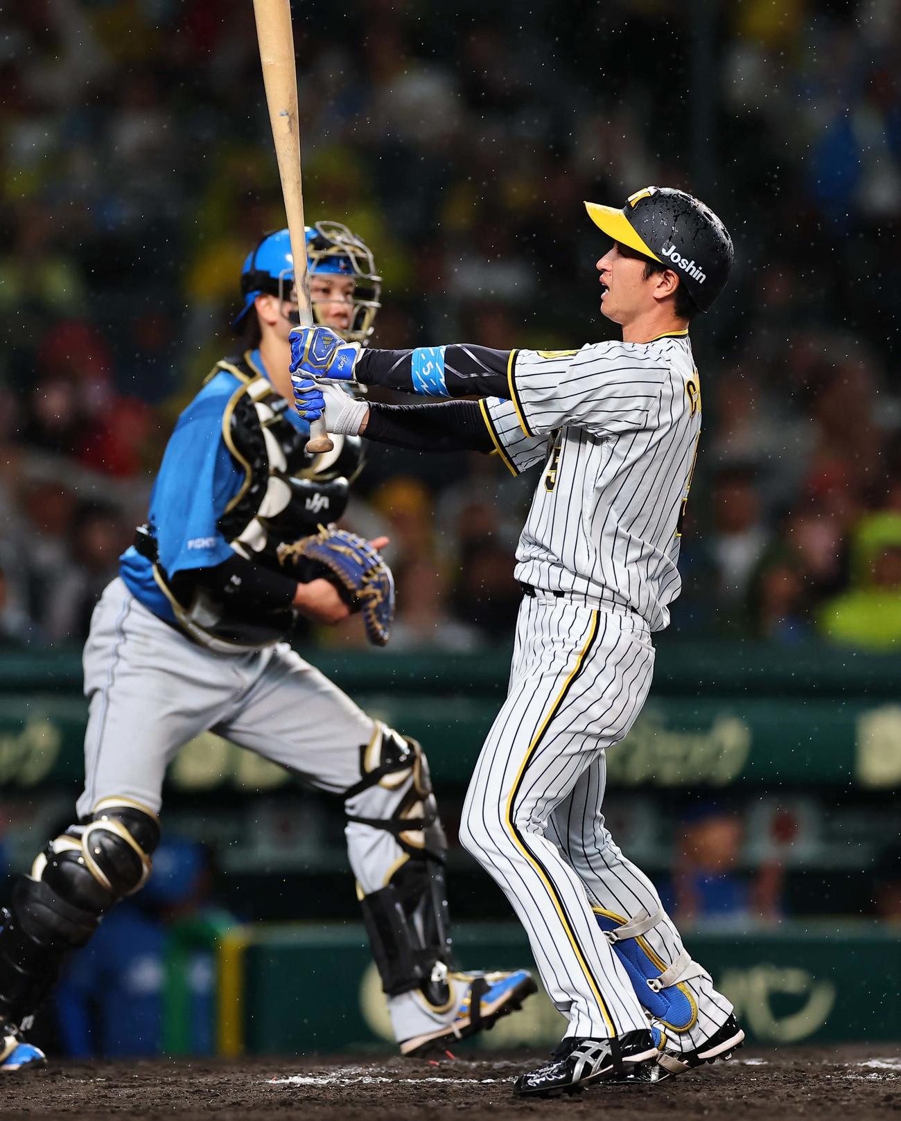 阪神対日本ハム　8回裏阪神無死一塁、近本は三振に倒れる（撮影・上田博志）