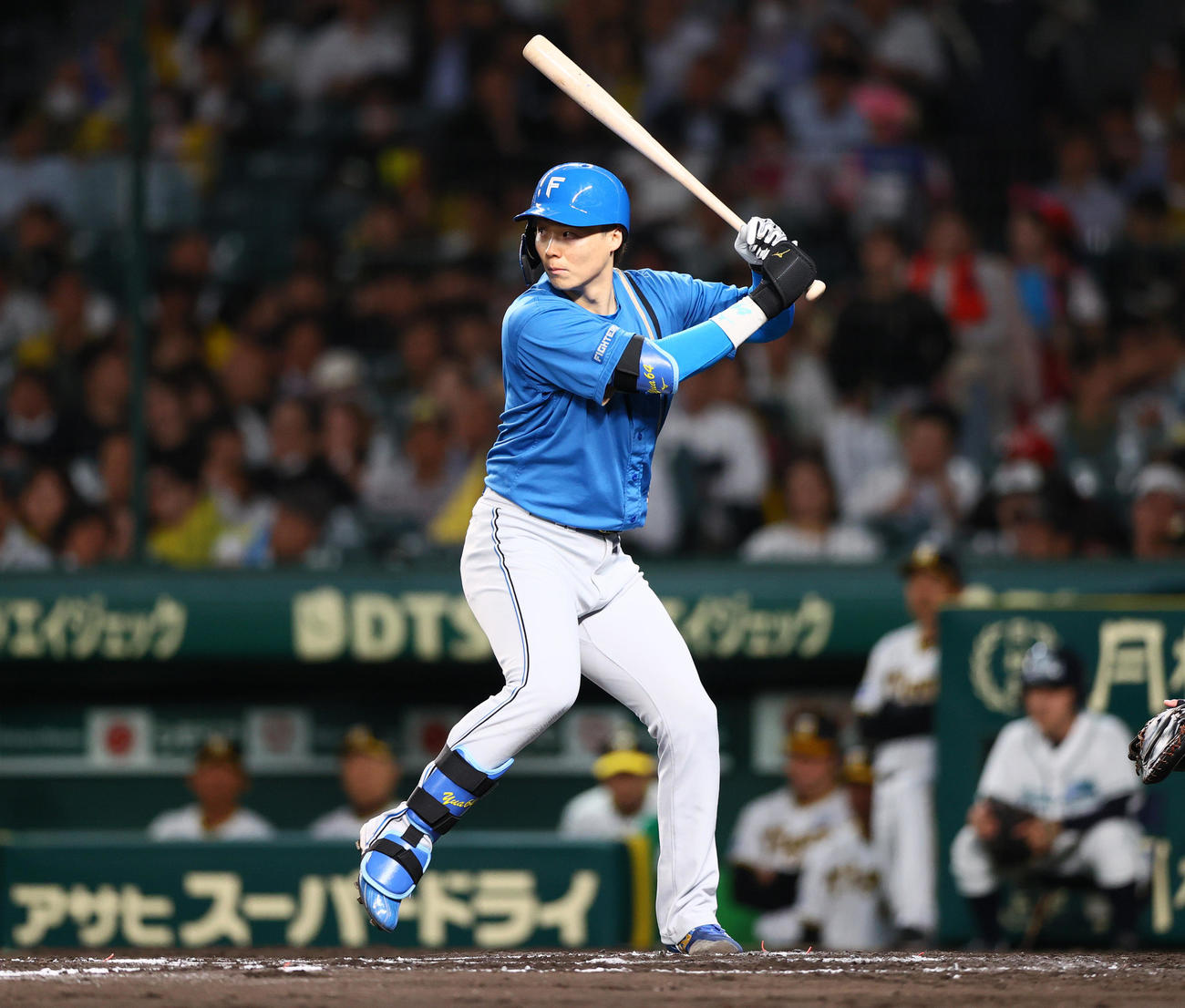 阪神対日本ハム　日本ハム山崎の構え（撮影・上山淳一）