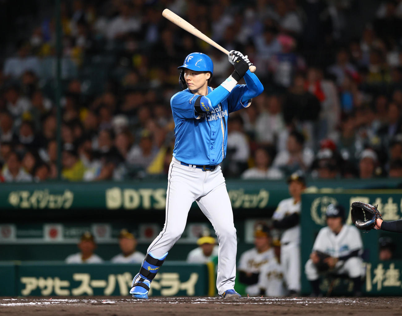 阪神対日本ハム　日本ハム山崎の構え（撮影・上山淳一）
