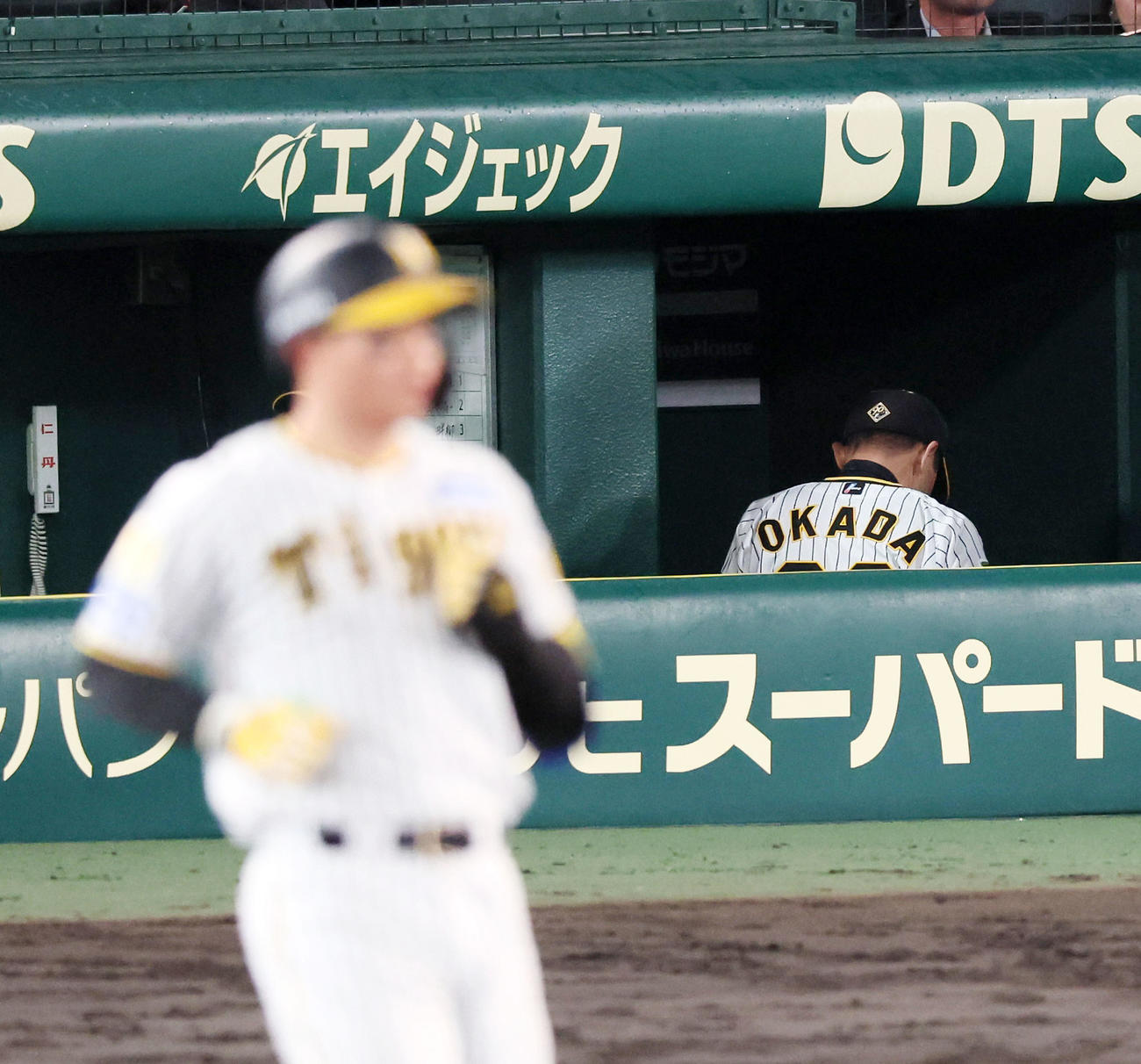 阪神対日本ハム　9回裏阪神2死、森下が右飛を打ち上げて日本ハムに敗れ、ベンチから引き揚げる岡田監督（撮影・加藤哉）