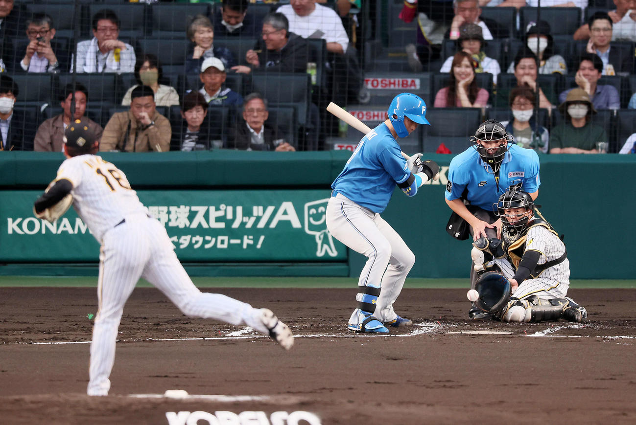 阪神対日本ハム　2回表日本ハム1死一塁、山崎は四球を選ぶ。投手は西勇（撮影・加藤哉）