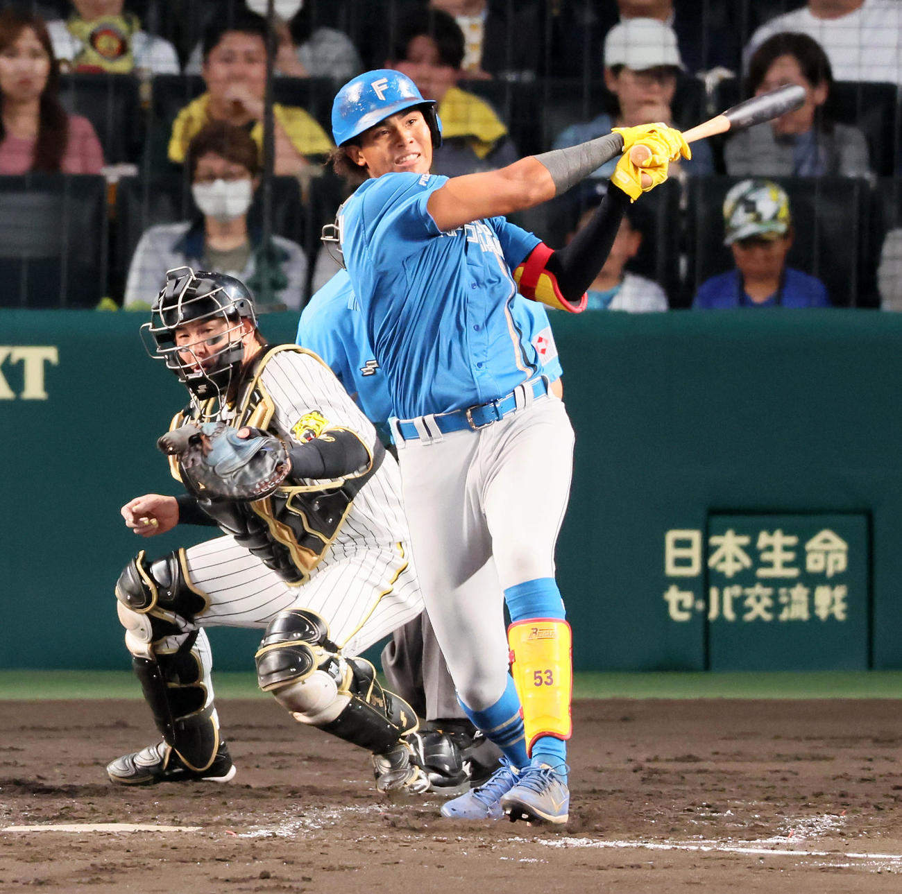 阪神対日本ハム　回表日本ハム2死一塁、水谷は左前打を放つ（撮影・加藤哉）