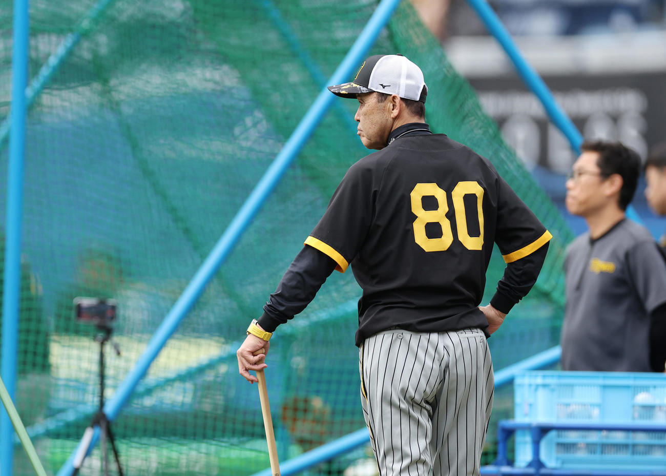ロッテ対阪神　試合前練習を見守る阪神岡田監督（撮影・前田充）