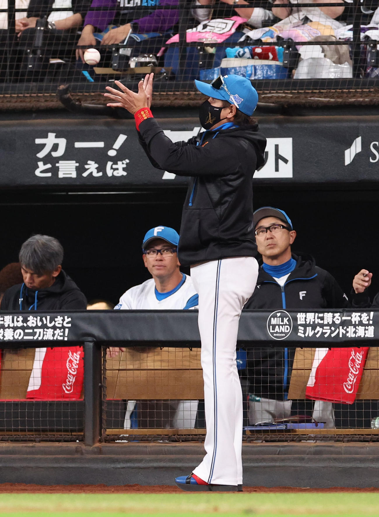 日本ハム対DeNA 2回裏日本ハム2死一塁、宮崎のプロ初安打となる記念ボールを回収する新庄監督（撮影・佐藤翔太）