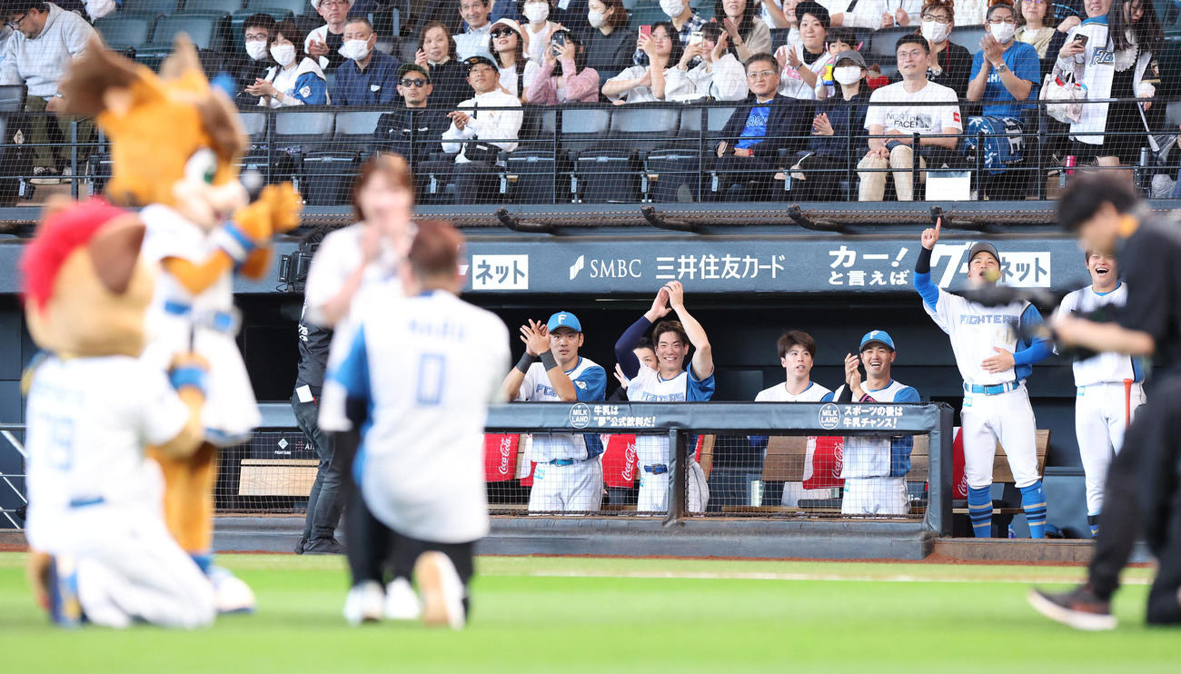 日本ハム対DeNA　「プロポーズ大作戦」を笑顔で見守る日本ハムナイン（撮影・佐藤翔太）
