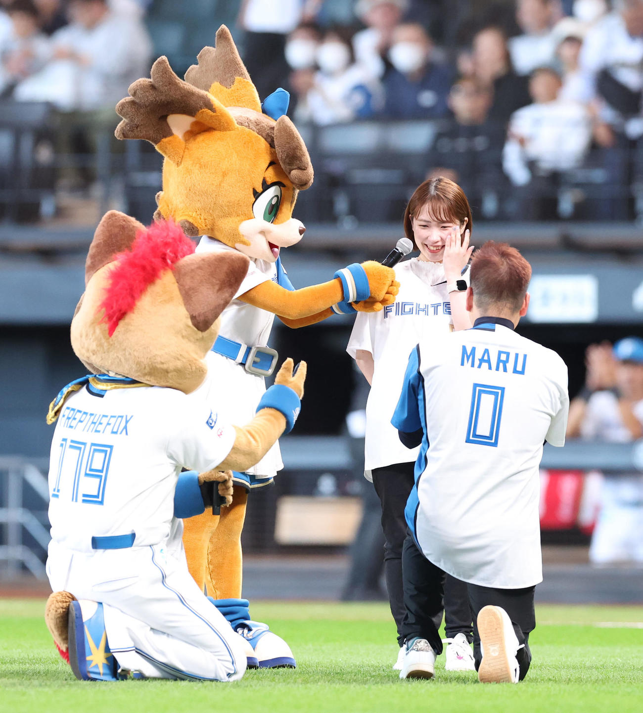 日本ハム対DeNA　試合前、「プロポーズ大作戦」が行われるエスコンフィールド北海道（撮影・佐藤翔太）
