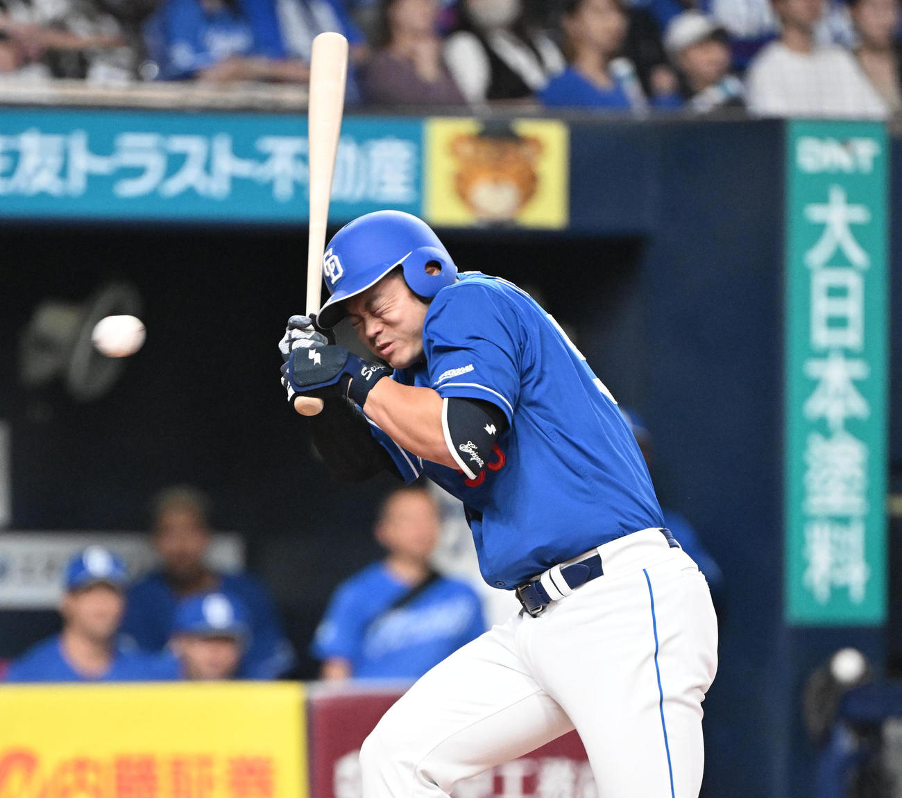 オリックス対中日　4回表中日1死一塁、頭部に死球を受ける細川（撮影・和賀正仁）